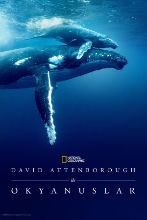 David Attenborough ile Okyanuslar