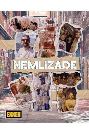 Nemlizade